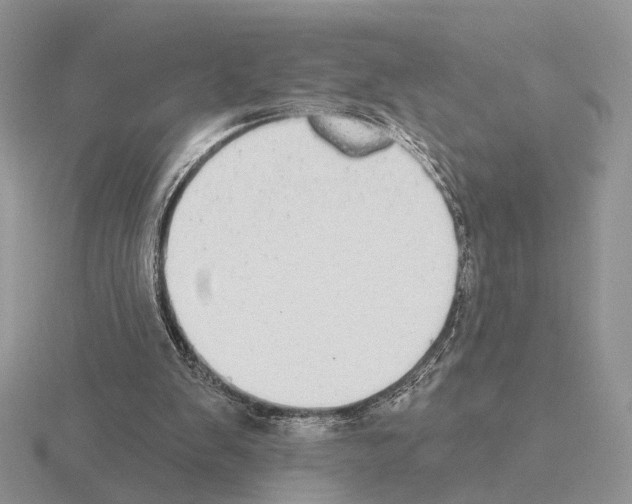 X0000115360103200912151406