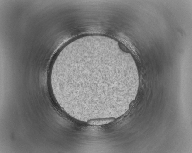 X0000115360108200912151406