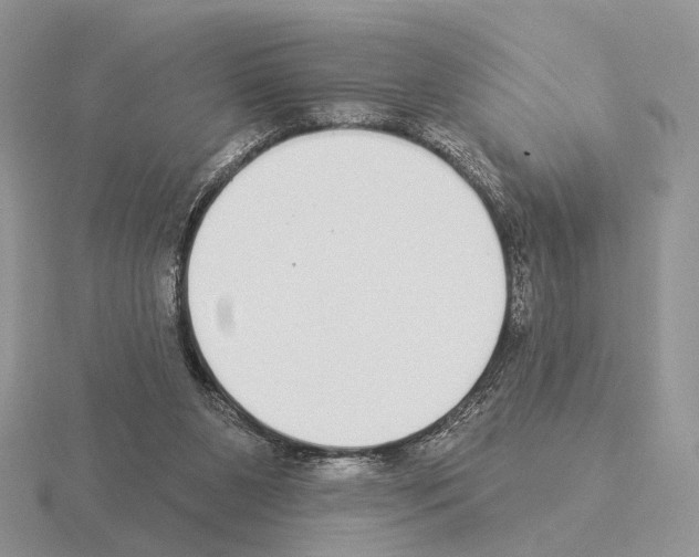 X0000115360111200912151406