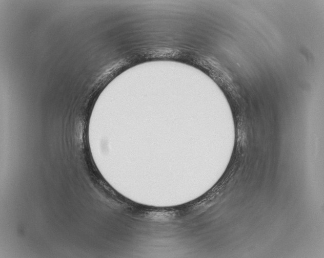 X0000115360115200912151406