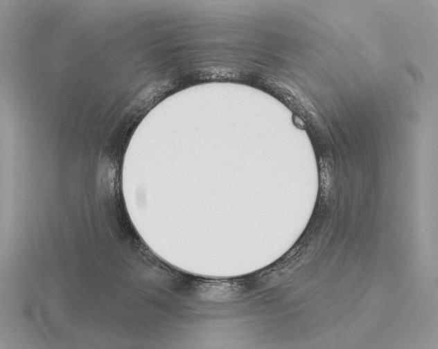 X0000115360123200912151406