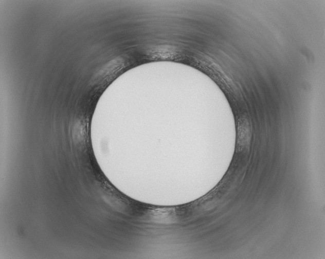 X0000115360126200912151406
