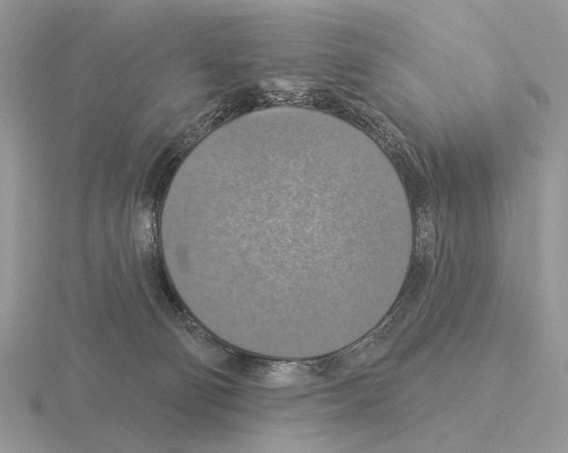X0000115360130200912151406