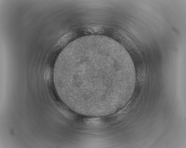 X0000115360132200912151406