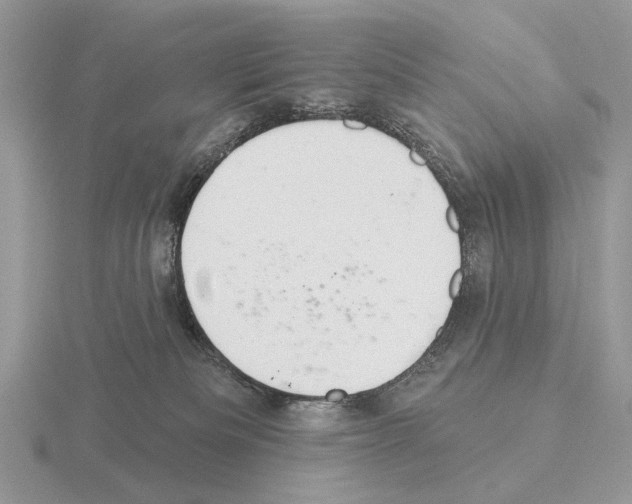 X0000115360133200912151406