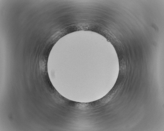X0000115360139200912151406