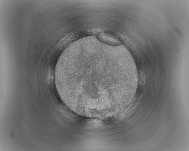 X0000115360140200912151406