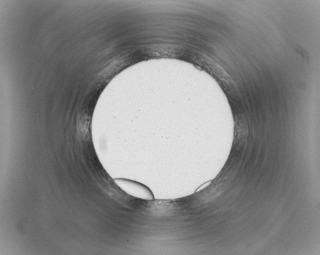 X0000115360141200912151406