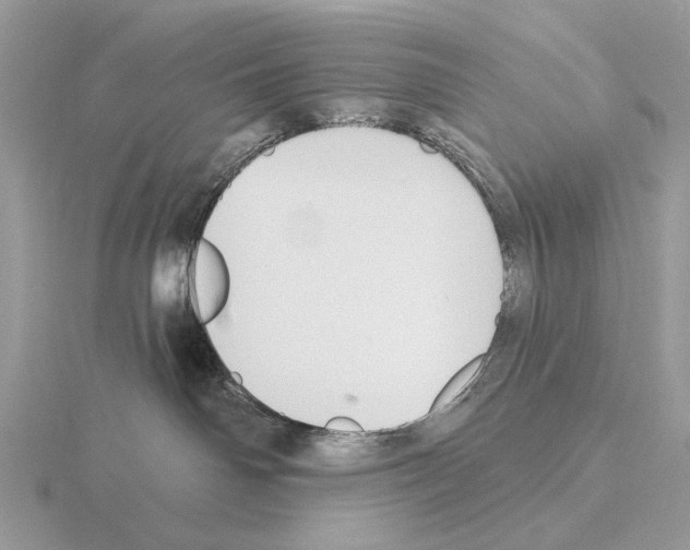 X0000115360142200912151406