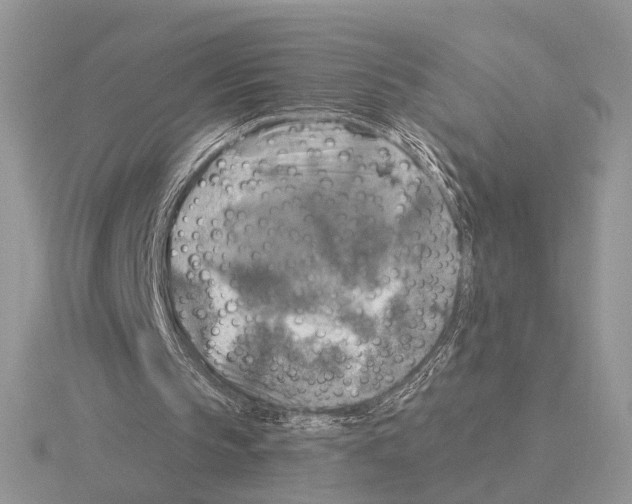 X0000115360145200912151405