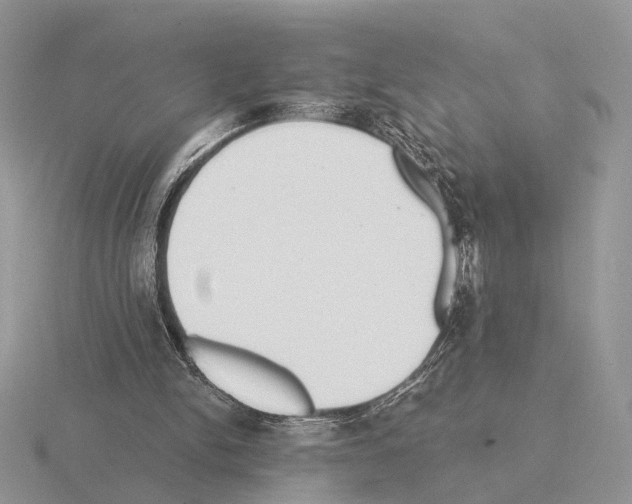 X0000115360150200912151405