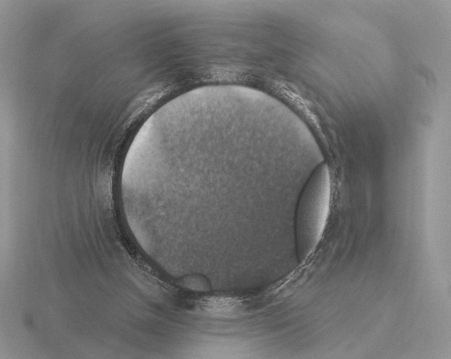 X0000115360154200912151405