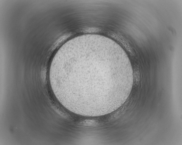 X0000115360159200912151405