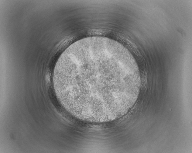 X0000115360166200912151405