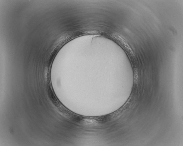 X0000115360167200912151405