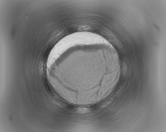 X0000115360169200912151405