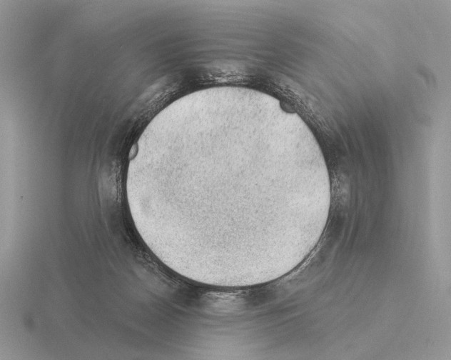 X0000115360170200912151405