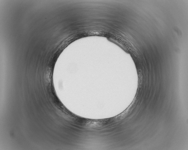 X0000115360174200912151405