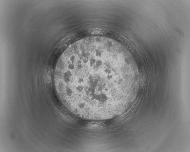 X0000115360175200912151405