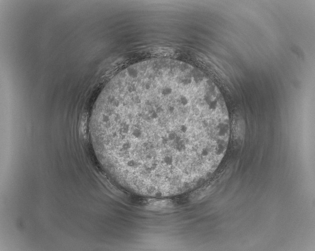 X0000115360185200912151405