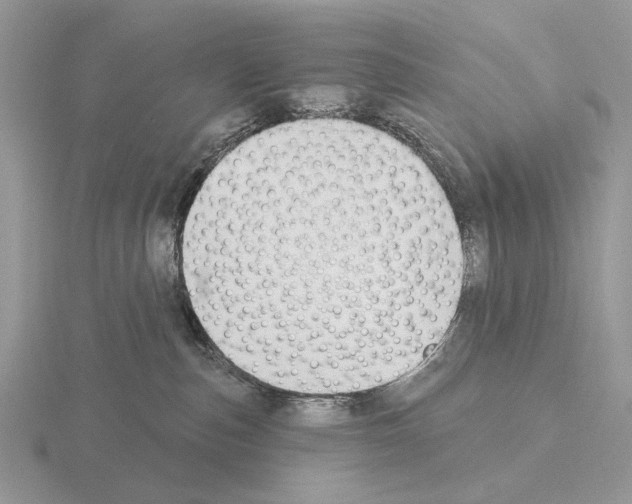 X0000115360187200912151405