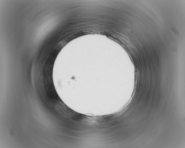 X0000115360190200912151406