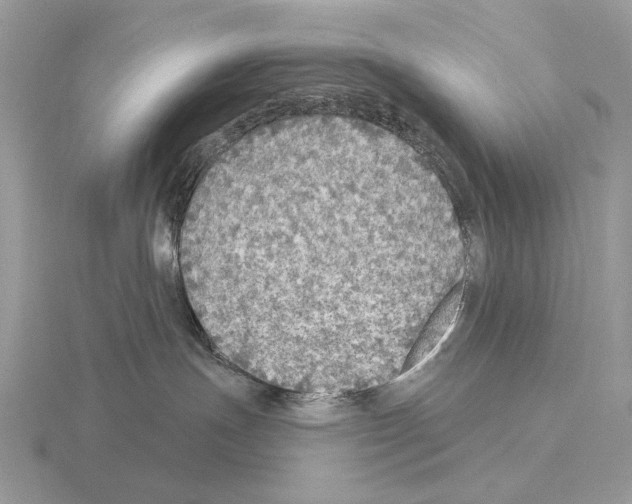 X0000115360191200912151406