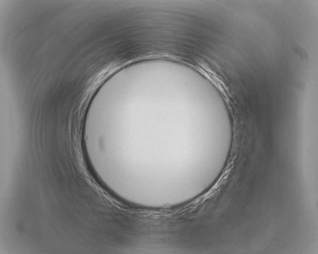 X0000115360193200912151405