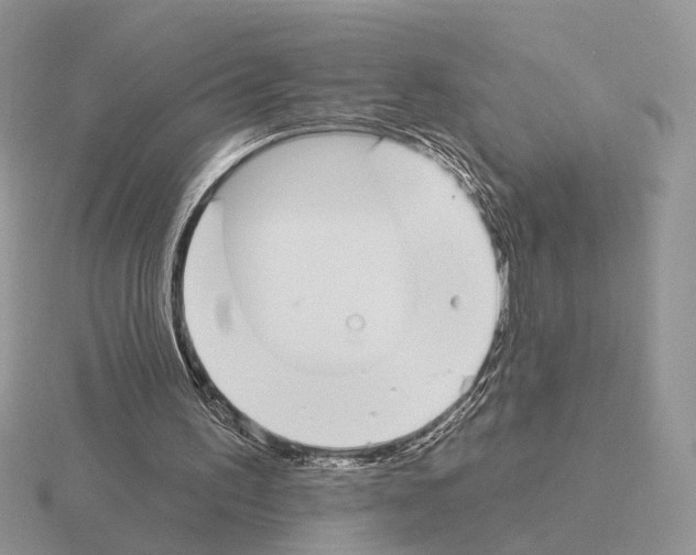 X0000115360195200912151405