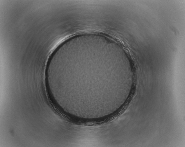 X0000115360196200912151405