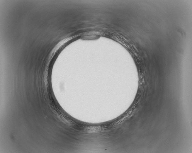 X0000115360200200912151405
