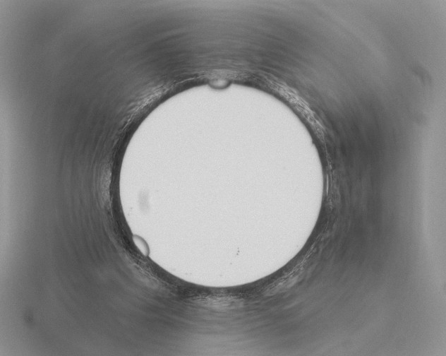 X0000115360201200912151405