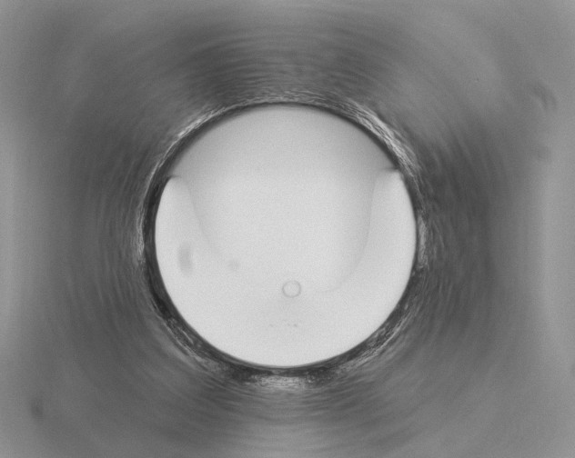 X0000115360203200912151405