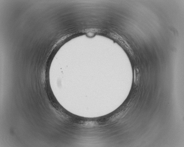 X0000115360204200912151405