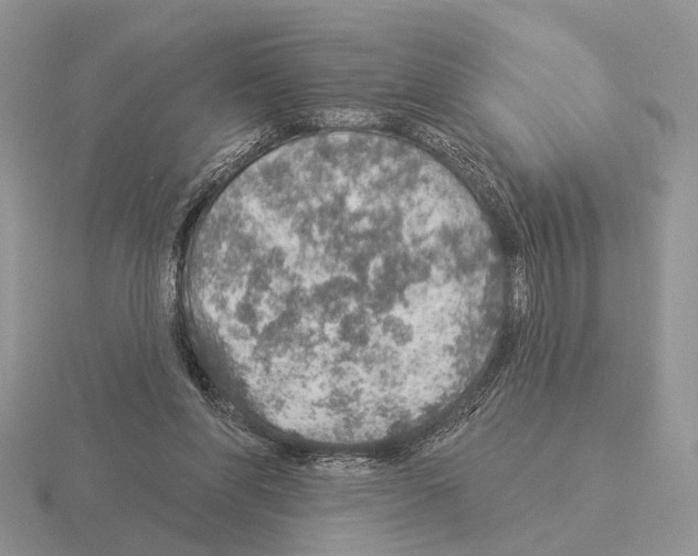 X0000115360206200912151405
