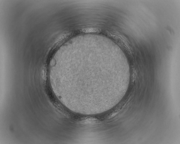 X0000115360210200912151405