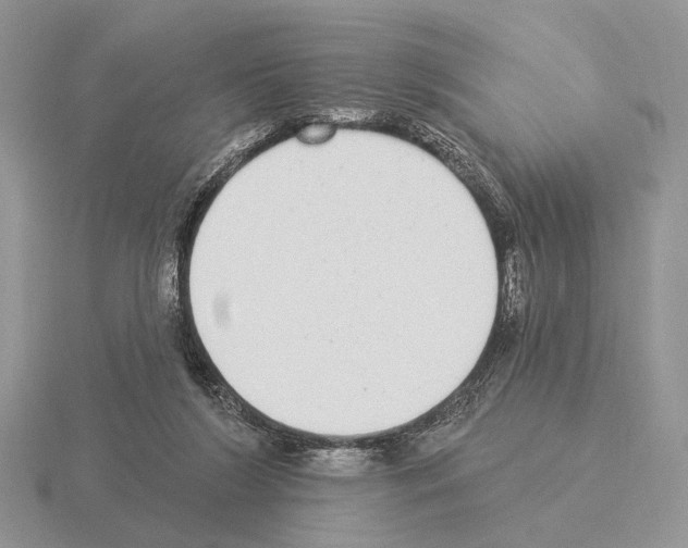 X0000115360212200912151405
