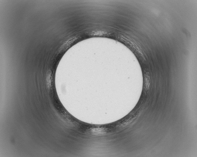 X0000115360216200912151405
