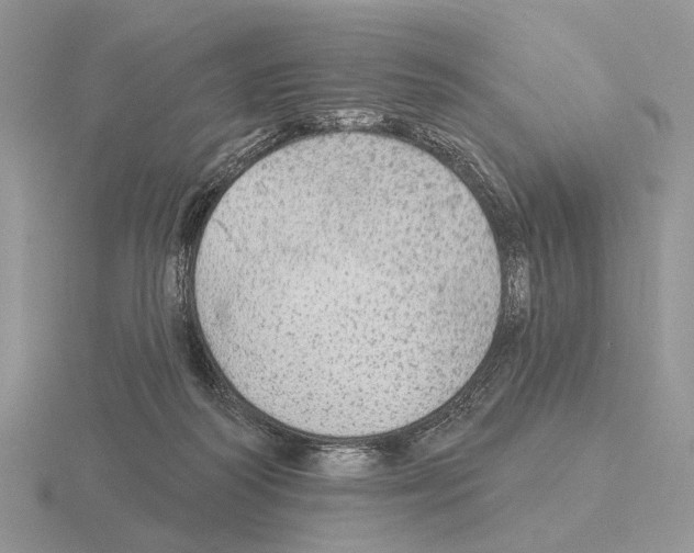 X0000115360218200912151405