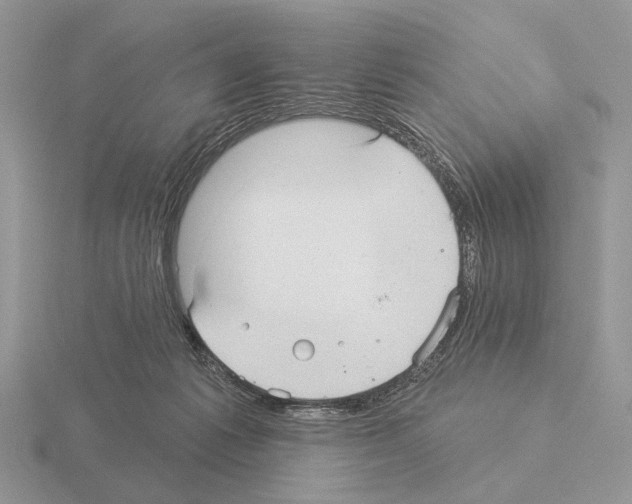 X0000115360221200912151404