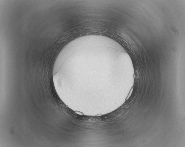 X0000115360223200912151404