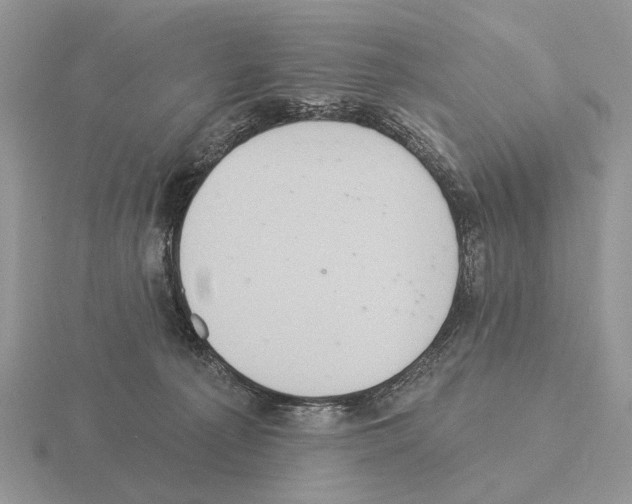 X0000115360225200912151404
