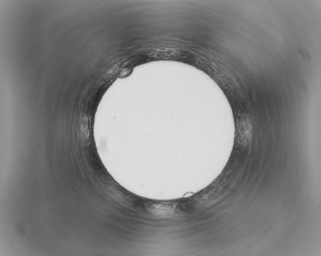 X0000115360232200912151404