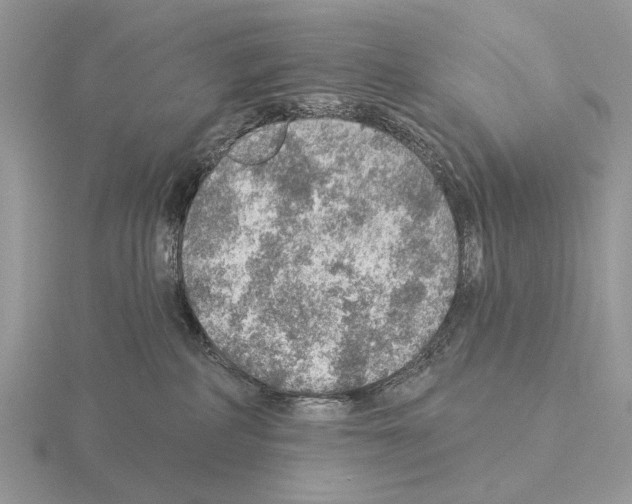 X0000115360234200912151404