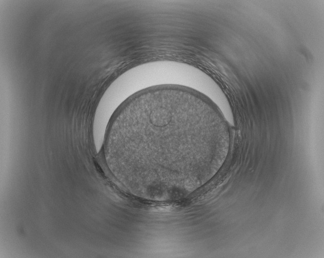 X0000115360235200912151404
