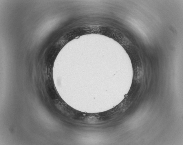 X0000115360236200912151404