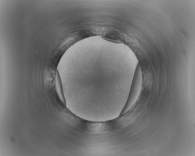 X0000115360237200912151404