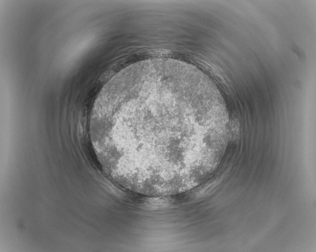 X0000115360238200912151404