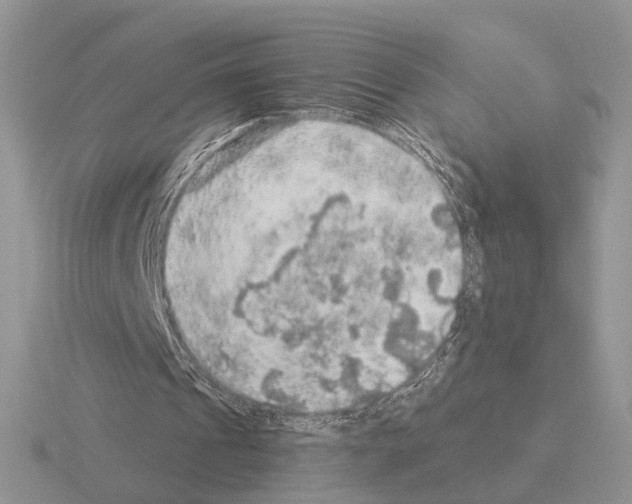 X0000115360241200912151403