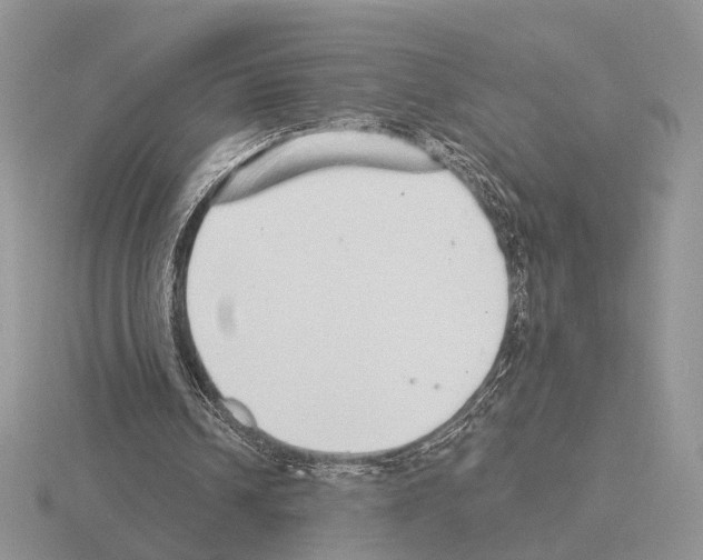 X0000115360242200912151403